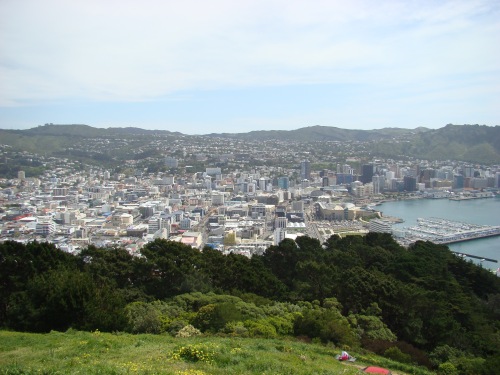 view of the city from mount victoria